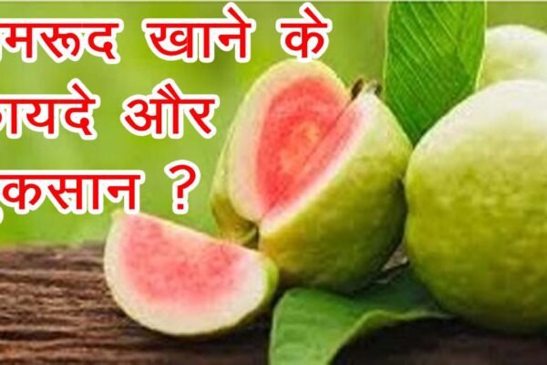 guava-amrud-health-benefits-nutrition-precautions